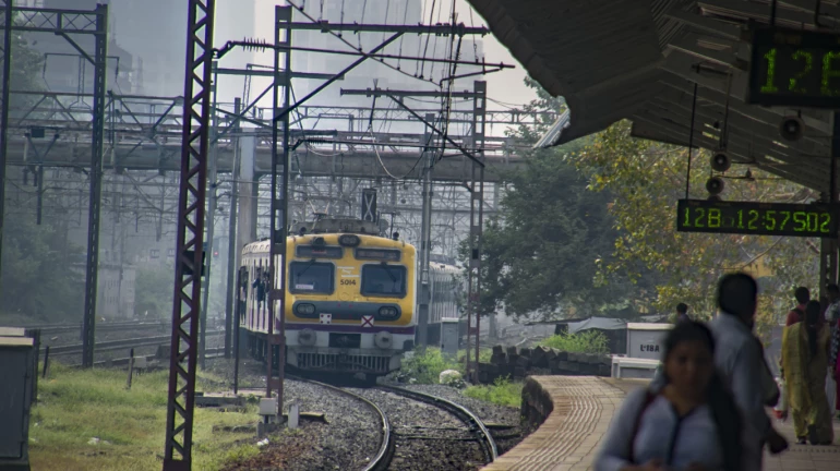 Mumbai Local News: Over 52,000 on-track deaths recorded in 20 years on WR, CR Mumbai Local News: Over 52,000 on-track deaths recorded in 20 years on WR, CR
