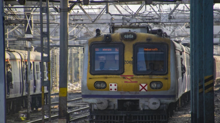 डोंबिवली : कोपर ते दिवा रेल्वे स्थानकादरम्यान लोकलमधून प्रवासी पडला डोंबिवली : कोपर ते दिवा रेल्वे स्थानकादरम्यान लोकलमधून प्रवासी पडला