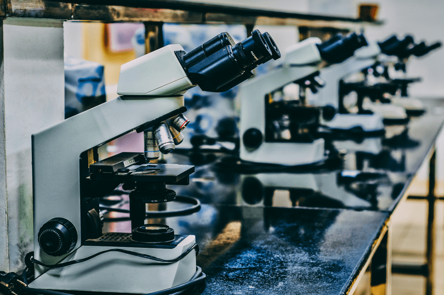 BPC-157: A Peptide’s Potential Across Research Domains