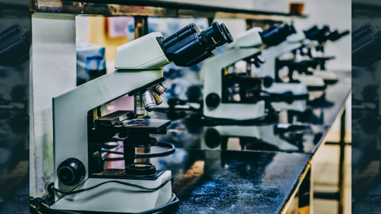 BPC-157: A Peptide’s Potential Across Research Domains BPC-157: A Peptide’s Potential Across Research Domains