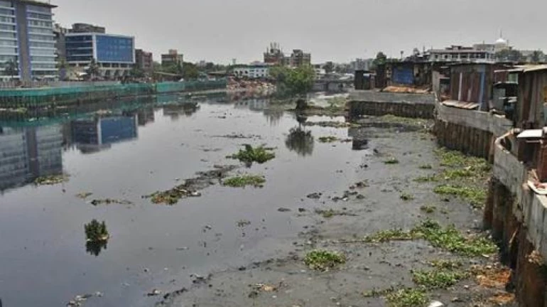Maharashtra Govt Announces SIT Probe For Mithi River Works Worth INR 1160 Cr