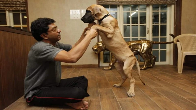 Raj Thackeray's beloved Dog 'James' Passes Away; Family holds last rites