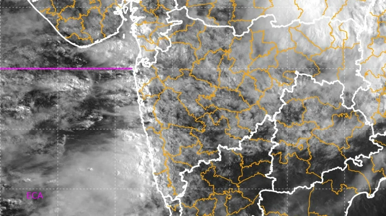 मुंबईत 8 दिवसांत तिसऱ्यांदा 100 मिमीपेक्षा जास्त पावसाची नोंद