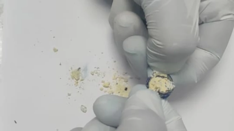 बटनामध्ये कोकेन लपवून तस्करी बटनामध्ये कोकेन लपवून तस्करी