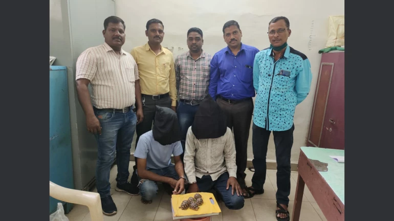 शिवडीतून दुर्मिळ कासवाची तस्करी, दोघांना अटक शिवडीतून दुर्मिळ कासवाची तस्करी, दोघांना अटक