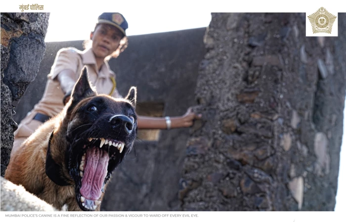 मुंबई पोलिसांचं '२०२१'चं कॅलेंडर