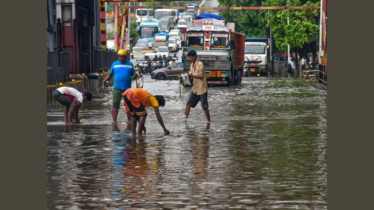 मुंबई, ठाणे आणि रायगडसाठी ‘रेड अलर्ट’ मुंबई, ठाणे आणि रायगडसाठी ‘रेड अलर्ट’