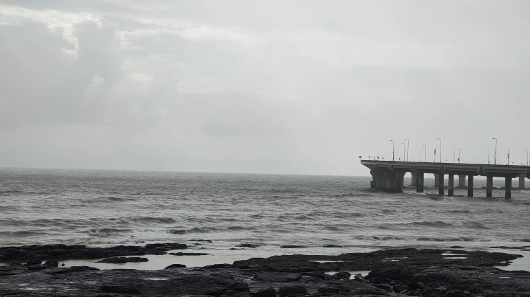 पुढच्या काही तासांत वादळी वाऱ्यासह पाऊस पडण्याची शक्यता पुढच्या काही तासांत वादळी वाऱ्यासह पाऊस पडण्याची शक्यता