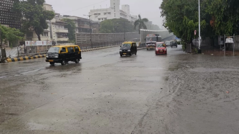 Southwest Monsoon Could Advance in Some Parts Of Konkan Southwest Monsoon Could Advance in Some Parts Of Konkan