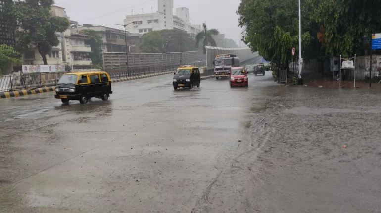Maharashtra Rains Update: 6 Districts Get Yellow, Orange Alert Warning For Next 2 days Maharashtra Rains Update: 6 Districts Get Yellow, Orange Alert Warning For Next 2 days
