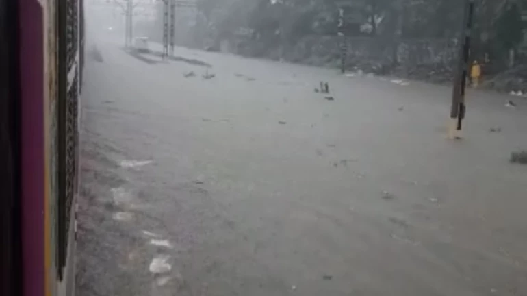 मध्य, पश्चिम व हार्बर या मार्गावरील कल्व्हर्ट स्वच्छतेसाठी दिलेला हा निधी वाया मध्य, पश्चिम व हार्बर या मार्गावरील कल्व्हर्ट स्वच्छतेसाठी दिलेला हा निधी वाया