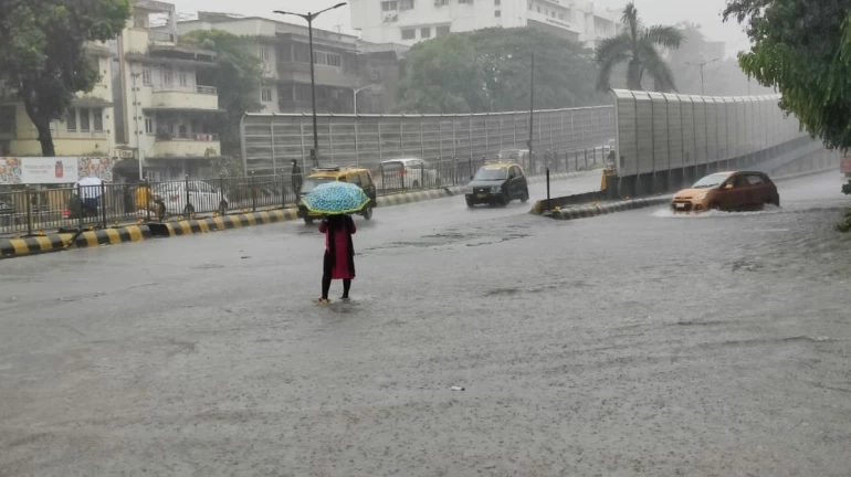 मुंबईत मान्सून लवकर दाखल होणार, उन्हापासून मिळणार दिलासा मुंबईत मान्सून लवकर दाखल होणार, उन्हापासून मिळणार दिलासा