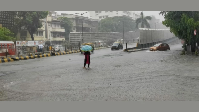 Mumbai Rains Update: IMD Issues Yellow Alert, Predicts Heavy Rainfall