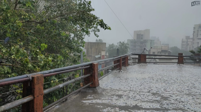 मुंबई, नवी मुंबई, ठाण्यात पावसाची जोरदार बॅटिंग; सखल भाग पाण्याखाली मुंबई, नवी मुंबई, ठाण्यात पावसाची जोरदार बॅटिंग; सखल भाग पाण्याखाली