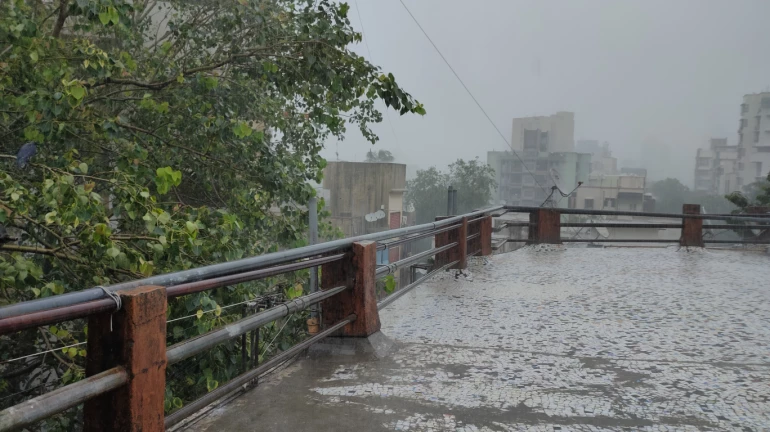 Mumbai Rains: 1 injured in landslide, informs BMC Mumbai Rains: 1 injured in landslide, informs BMC
