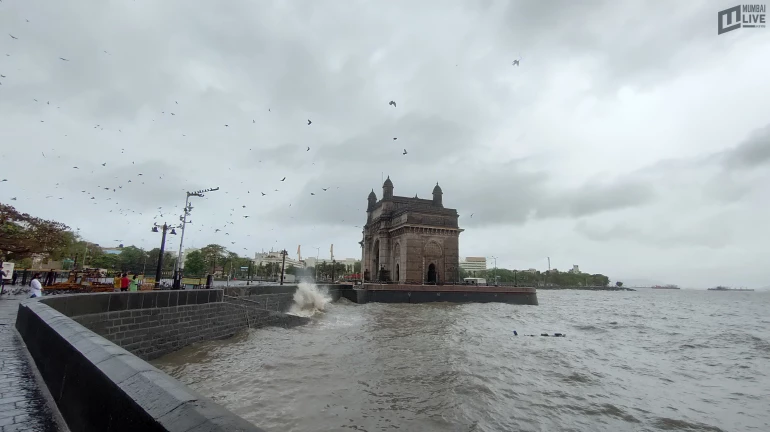 35-year-old died after a wall collapsed in Mulund's Wayde Chawl 35-year-old died after a wall collapsed in Mulund's Wayde Chawl