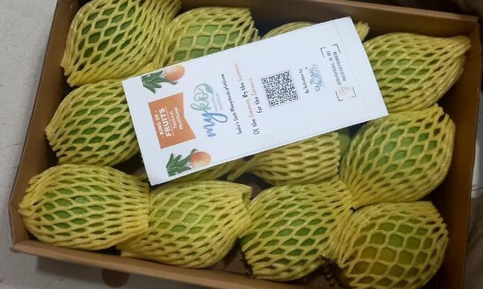 Authentic Alphonso Mango come knocking at your door with MyKo