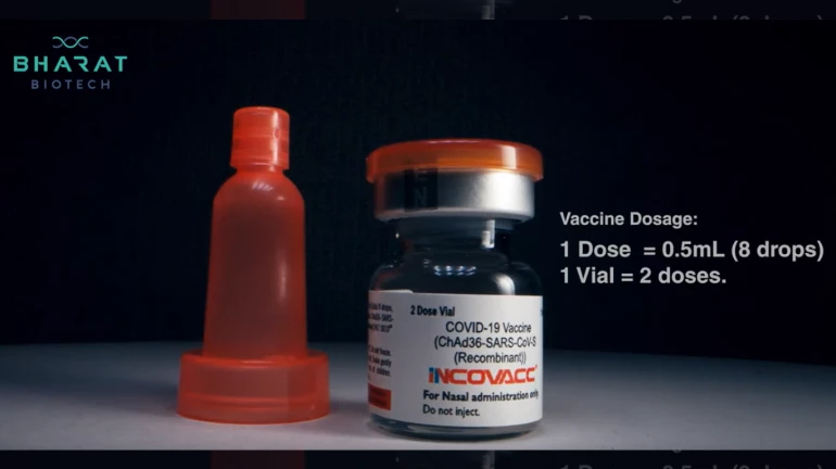 Maharashtra Receives 2 Lakh Doses of iNCOVACC Vaccine for Senior Citizens Maharashtra Receives 2 Lakh Doses of iNCOVACC Vaccine for Senior Citizens