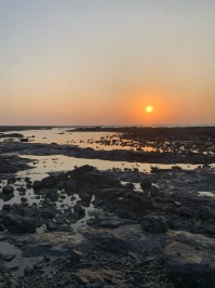 5 Nature Walks to Try This Valentine’s Day in Mumbai