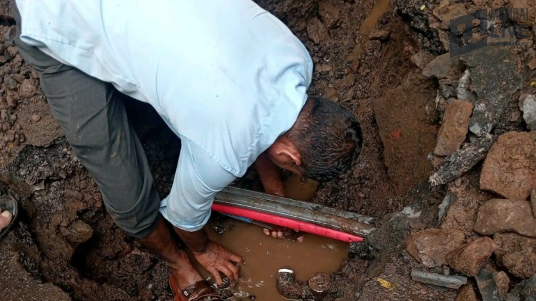 वाशी- खतरनाक इमारतों में पानी की आपूर्ति रोकी गई वाशी- खतरनाक इमारतों में पानी की आपूर्ति रोकी गई