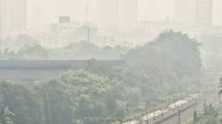 Mumbai Weather Update: Smog Blankets City As AQI Remains ‘Severe’; Wadala & Sewri Worst Affected Mumbai Weather Update: Smog Blankets City As AQI Remains ‘Severe’; Wadala & Sewri Worst Affected