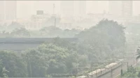 Air Quality Improves in Navi Mumbai owing to rains; Light showers forecast for next few days Air Quality Improves in Navi Mumbai owing to rains; Light showers forecast for next few days