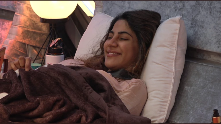 Bigg Boss 14: The real reason why Nikki cannot nominate Aly Goni Bigg Boss 14: The real reason why Nikki cannot nominate Aly Goni