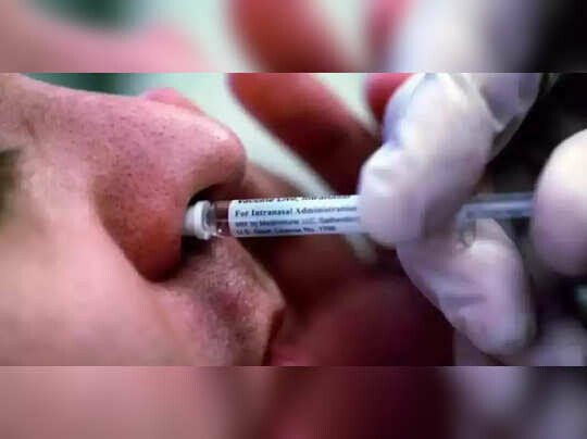 नाकावाटे घेता येणार लस, 60 वर्षांवरील नागरिकांसाठी 'या' तारखेपासून उपलब्ध