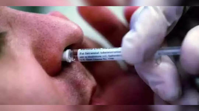 नाकावाटे घेता येणार लस, 60 वर्षांवरील नागरिकांसाठी 'या' तारखेपासून उपलब्ध नाकावाटे घेता येणार लस, 60 वर्षांवरील नागरिकांसाठी 'या' तारखेपासून उपलब्ध