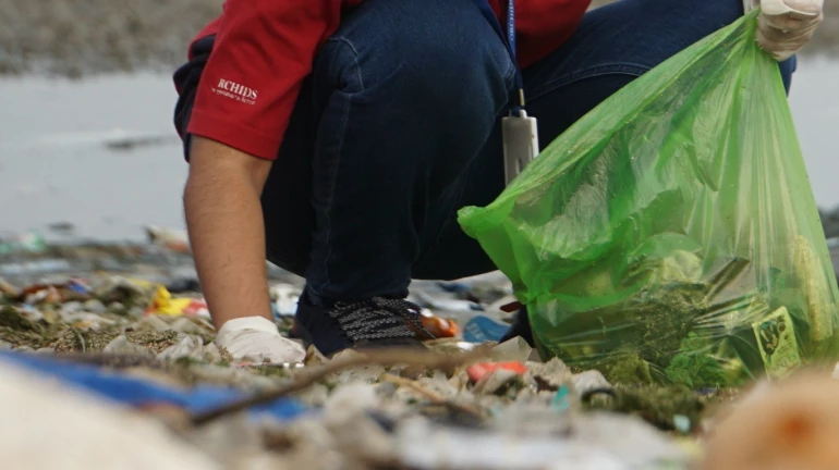 माहिम: पालिका आणि प्ले अॅण्ड शाईन फाऊंडेशन तर्फे 'बीच क्लिनअप'चे आयोजन माहिम: पालिका आणि प्ले अॅण्ड शाईन फाऊंडेशन तर्फे 'बीच क्लिनअप'चे आयोजन