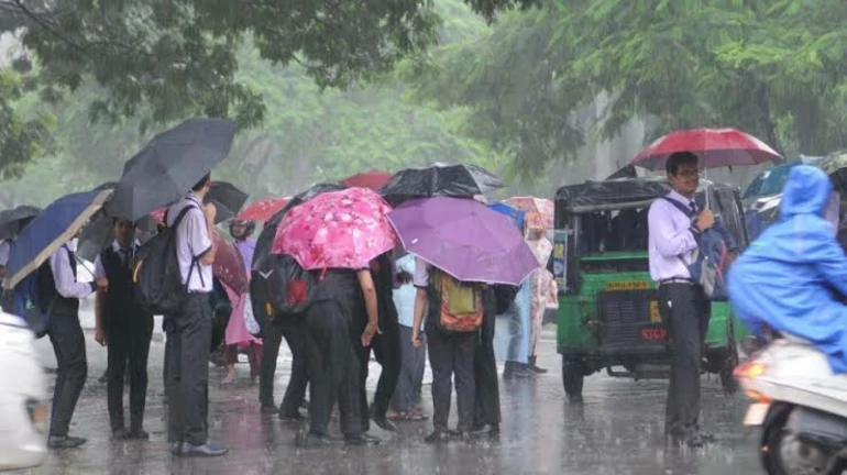 बारिश को देखते हुए  पालघर जिले के स्कूलों में छुट्टियों की घोषणा की गई