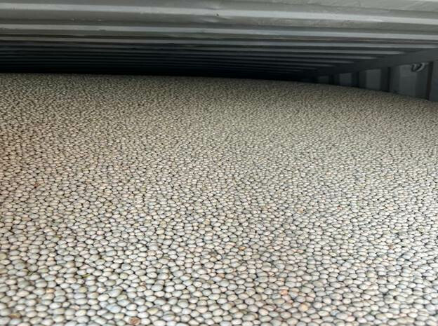 DRI Mumbai Seizes 132 Containers of Smuggled Watermelon Seeds and Green Peas Worth ₹139 Crore; Importer Arrested