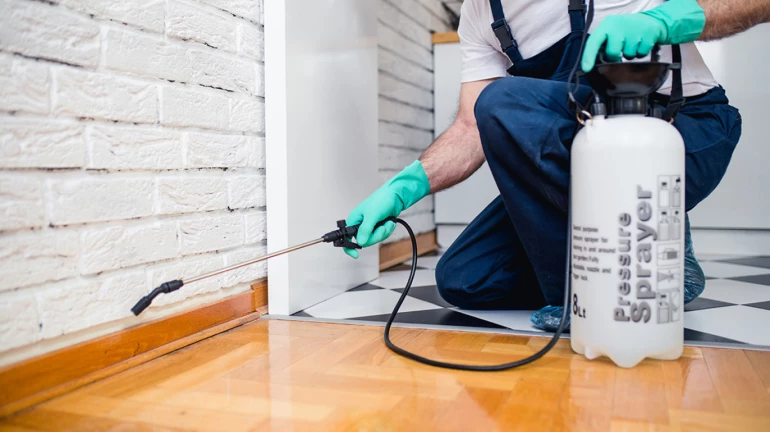 घरात पेस्ट कंट्रोल करणं भोवलं, चार वर्षीय चिमुकलीचा मृत्यू घरात पेस्ट कंट्रोल करणं भोवलं, चार वर्षीय चिमुकलीचा मृत्यू