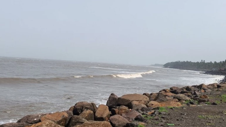 Oil Spill Incident reported near Uran's Pirwadi Beach