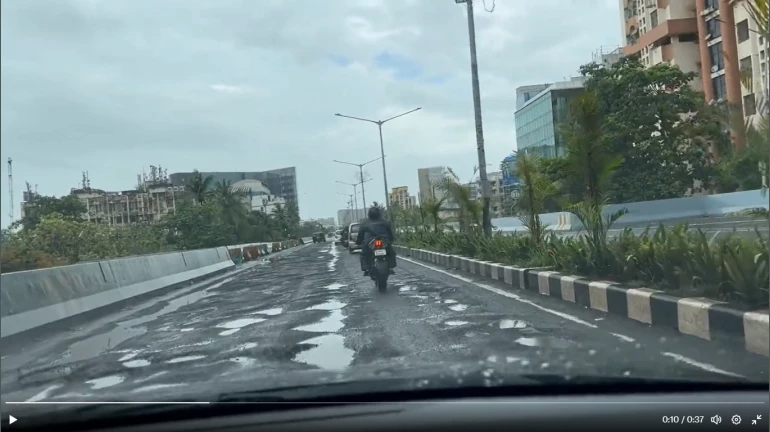 Mumbai: Potholes plague on newly opened Santacruz-Chembur Link Road Mumbai: Potholes plague on newly opened Santacruz-Chembur Link Road