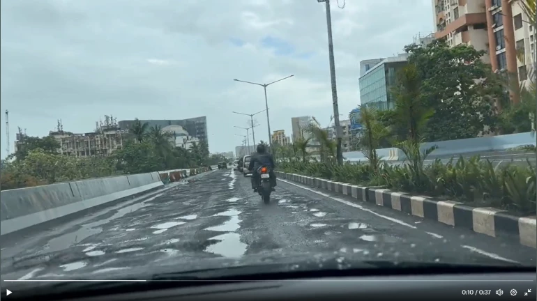 Mumbai: Potholes plague on newly opened Santacruz-Chembur Link Road