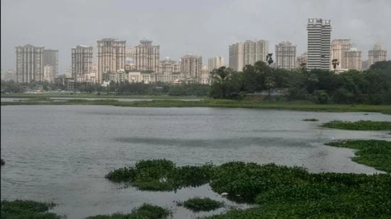 Making Mumbai Environmentally Safe After The COVID-19 Pandemic