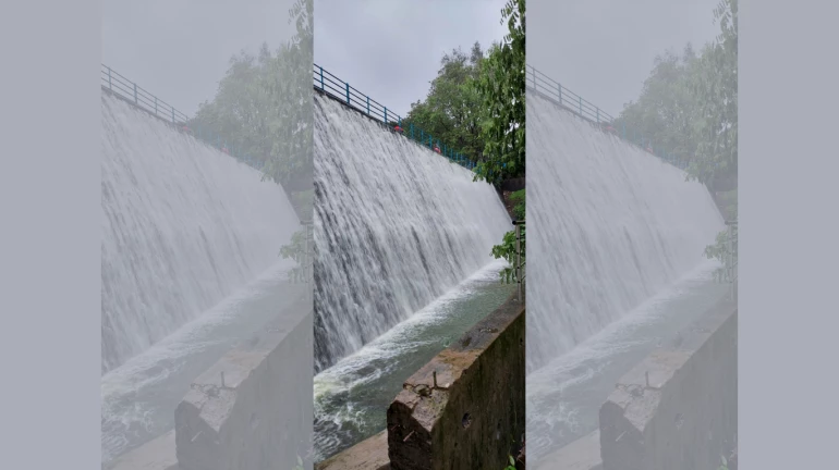 लगातार  बारिश के कारण  पवई झील ओवरफ्लो! लगातार  बारिश के कारण  पवई झील ओवरफ्लो!