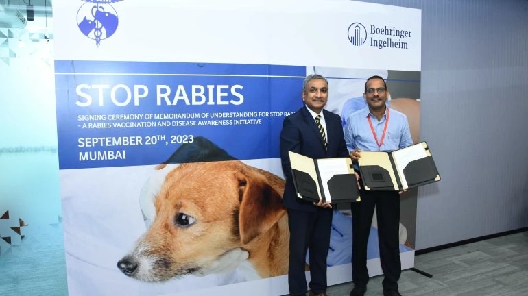 BMC To Organise Free Vaccination Camp Against Rabies