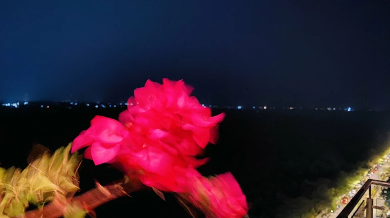 ठाण्यात वेफर्स गोदामाला भीषण आग ठाण्यात वेफर्स गोदामाला भीषण आग