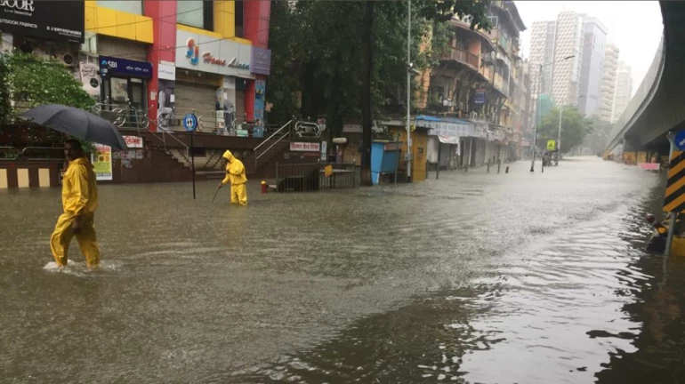 मुंबईतील 'ही' दोन ठिकाणं पूरमुक्त, पालिकेने यादीतून नावं हटवली मुंबईतील 'ही' दोन ठिकाणं पूरमुक्त, पालिकेने यादीतून नावं हटवली