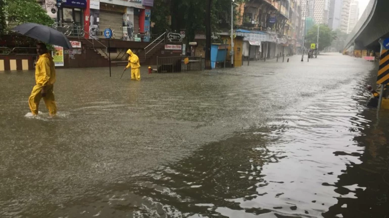 “आता ठाकरे सरकार पावसाची जबाबदारीही मोदींवर ढकलेल” “आता ठाकरे सरकार पावसाची जबाबदारीही मोदींवर ढकलेल”