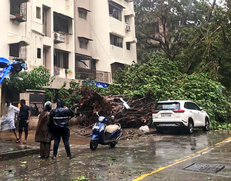 Thane Man Dies Days After Tree Falls on Him During Heavy Rains