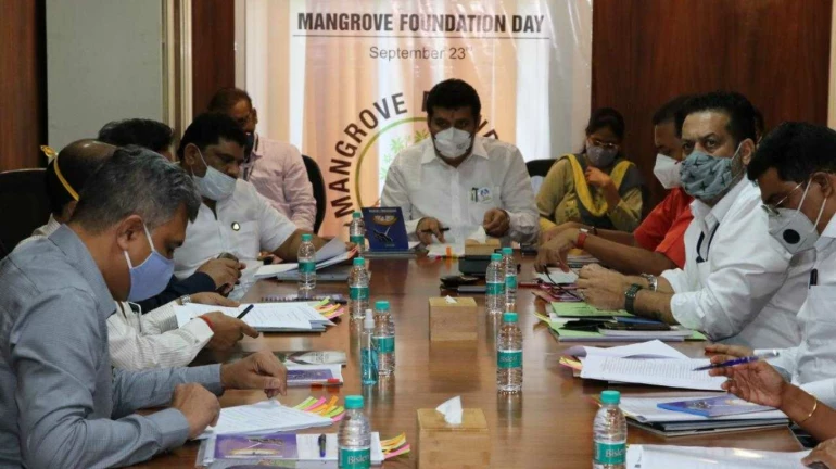 कांदळवन संरक्षण व संवर्धनासाठी कटिबद्ध- वनमंत्री संजय राठोड कांदळवन संरक्षण व संवर्धनासाठी कटिबद्ध- वनमंत्री संजय राठोड