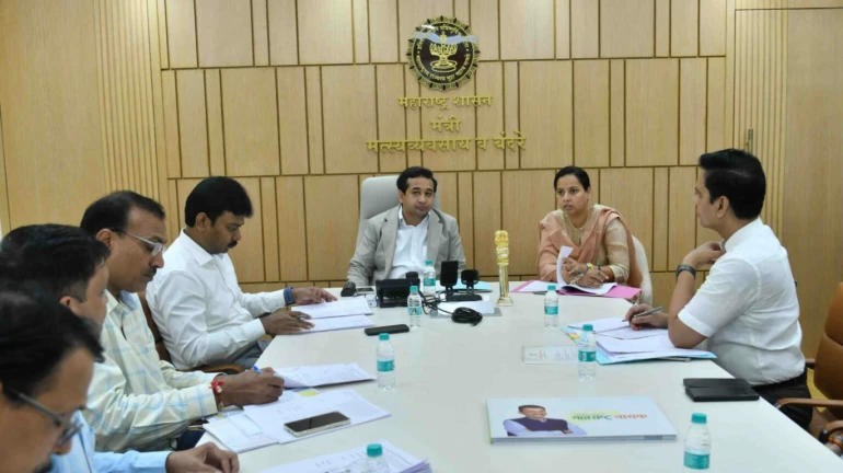 मुंबई ते दिघी आणि काशिद रो-रो सेवा मार्चपर्यंत सुरू होणार मुंबई ते दिघी आणि काशिद रो-रो सेवा मार्चपर्यंत सुरू होणार