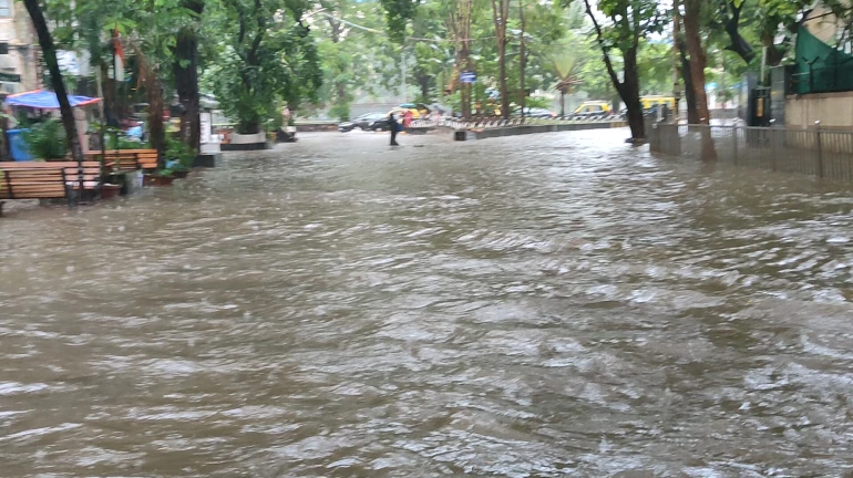 Mumbaikar's Waterlogging Nightmare Continues Mumbaikar's Waterlogging Nightmare Continues