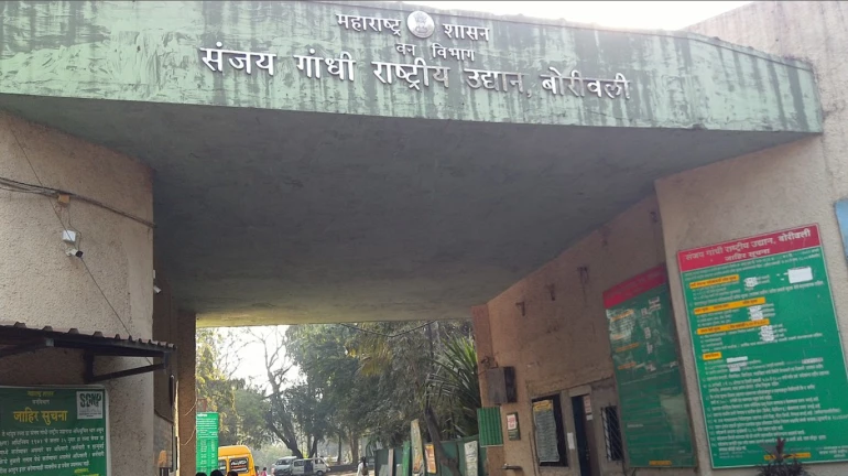 1.19 Hectares of Protected Forest Land Cleared for Adani’s Power Grid in SGNP and Tungareshwar Sanctuary 1.19 Hectares of Protected Forest Land Cleared for Adani’s Power Grid in SGNP and Tungareshwar Sanctuary