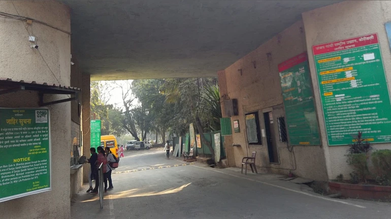 Mumbai: Environmental NGO cry increase in encroachments in Sanjay Gandhi National Park Mumbai: Environmental NGO cry increase in encroachments in Sanjay Gandhi National Park