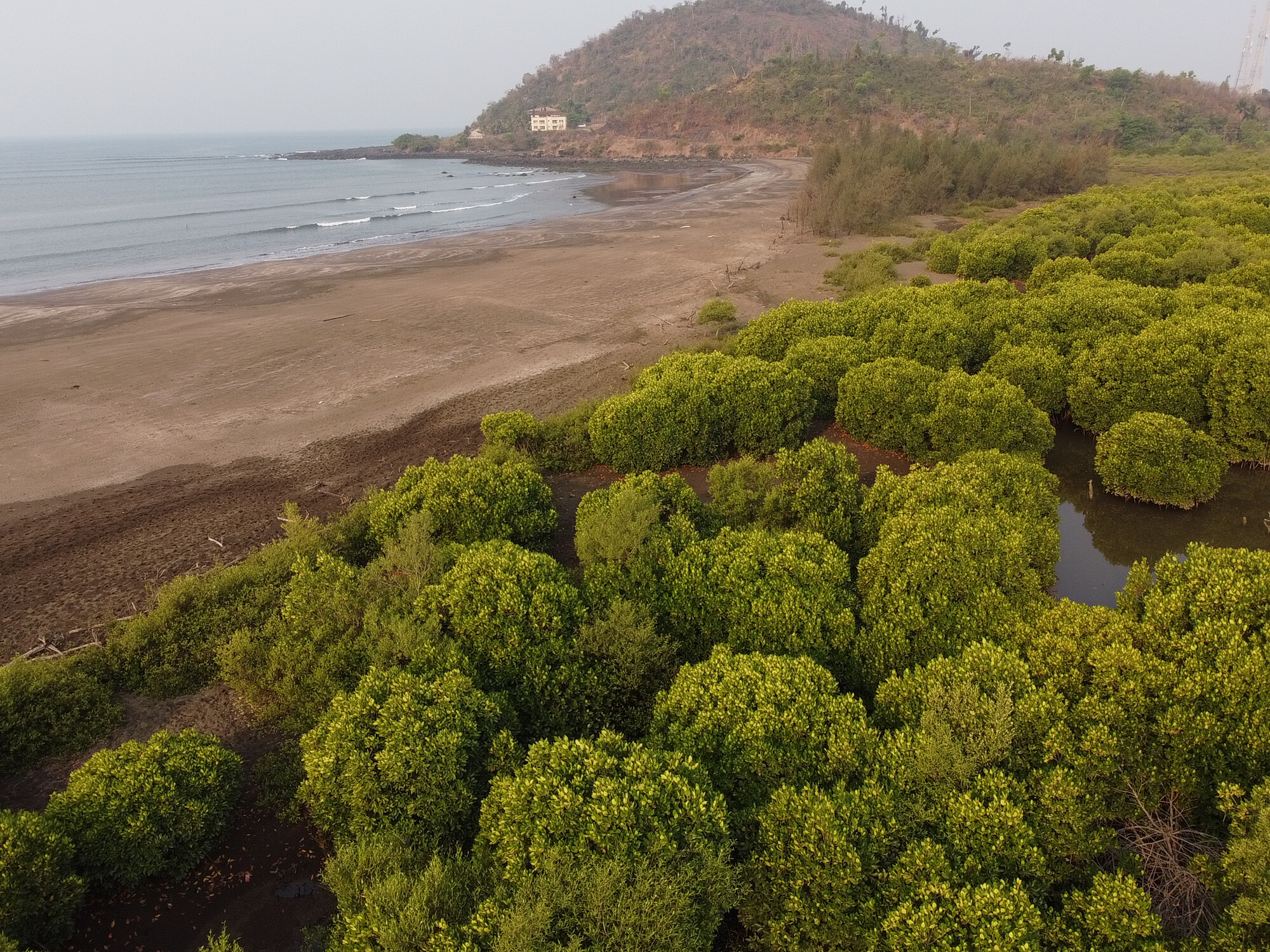 Seashore spanning 55-hectares in coastal Maharashtra submerged: Study