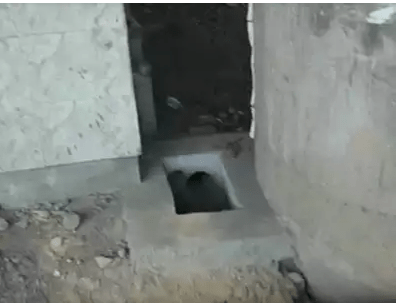 काशीमिरात ४ वर्षांच्या मुलीचा शौचालयाच्या टाकीत पडून मृत्यू